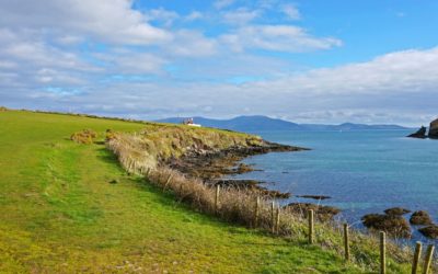 7 Reasons to Add the Dingle Peninsula to Your Ireland Road Trip