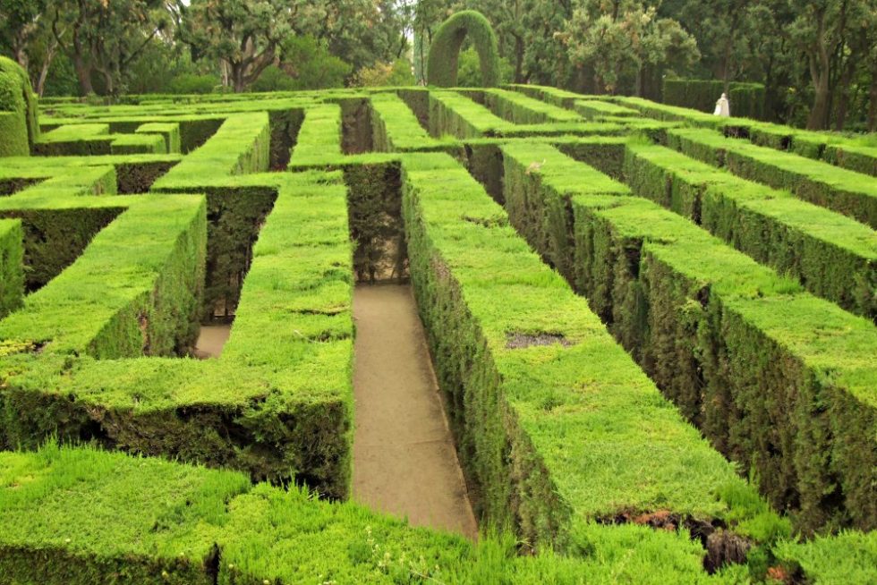 Grass labyrinth 1979