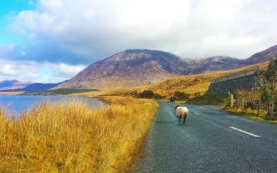 Ireland Road Trip Itinerary