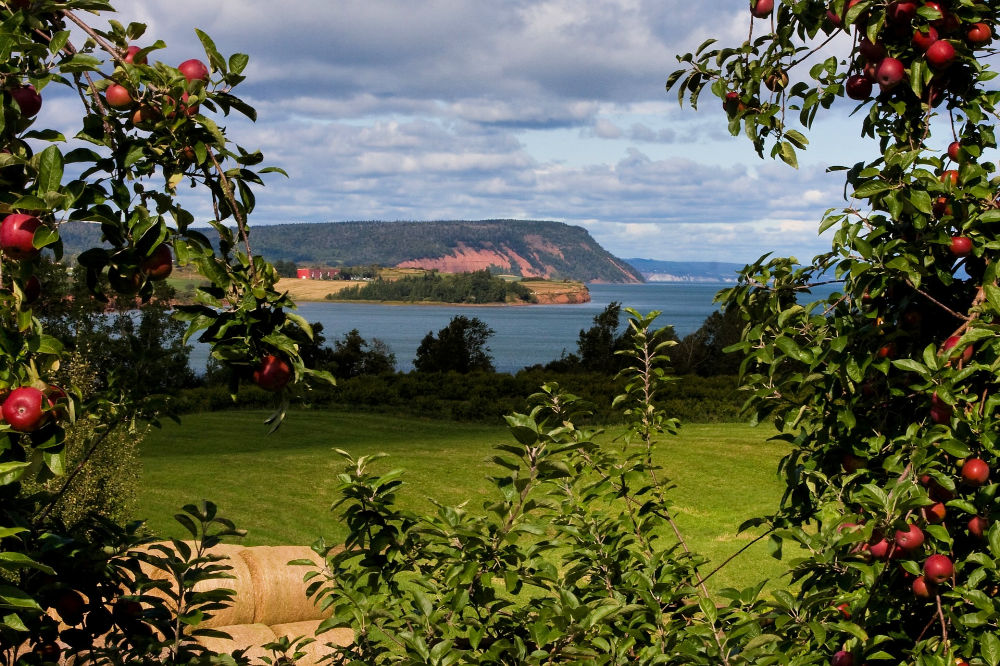 8 Great Places to Visit in the Bay of Fundy and Annapolis Valley Region ...