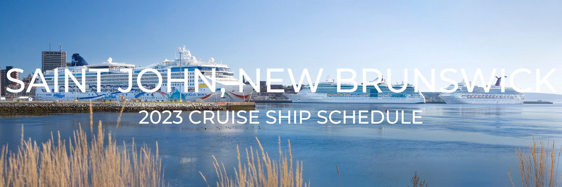 Saint John Cruise Ship Schedule [2023] One Trip at a Time